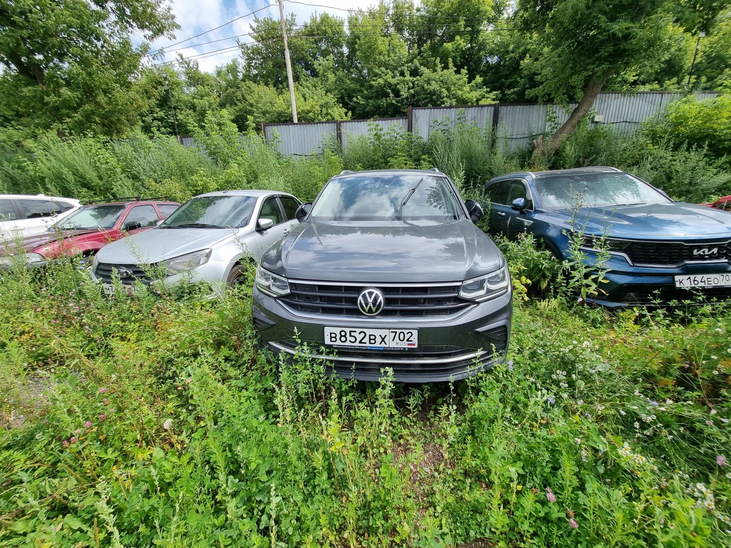 Volkswagen Tiguan